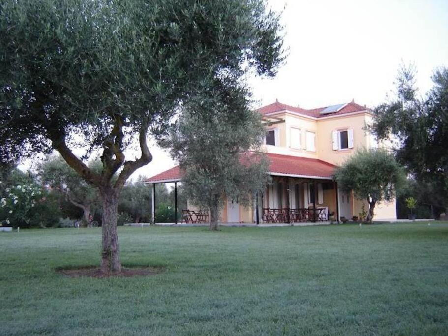 Phyllida Guest House - A2 زاخارو المظهر الخارجي الصورة