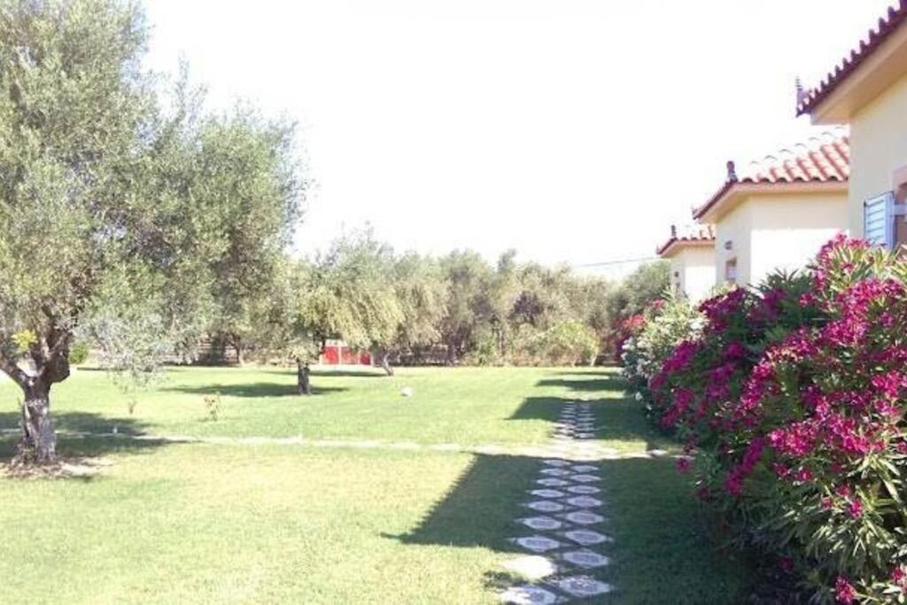 Phyllida Guest House - A2 زاخارو المظهر الخارجي الصورة