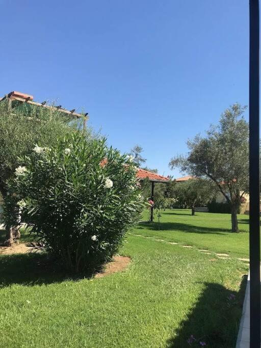 Phyllida Guest House - A2 زاخارو المظهر الخارجي الصورة